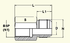 37 Degree Flare Fittings  Straight Fittings  Union Fittings Bulk Head Union Female Connector Female Connector Stud End Thread  BSP Female 
