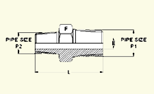 Pipe Fittings Pipe Fittings Straight Fittings Close Nipples Hex Nipples Hex Long Nipples Hex Reducing Nipples 