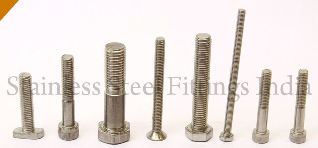 Stainless Steel Screws SS Screws